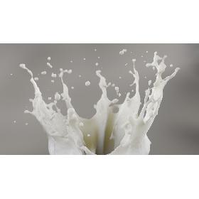Splash 3D model